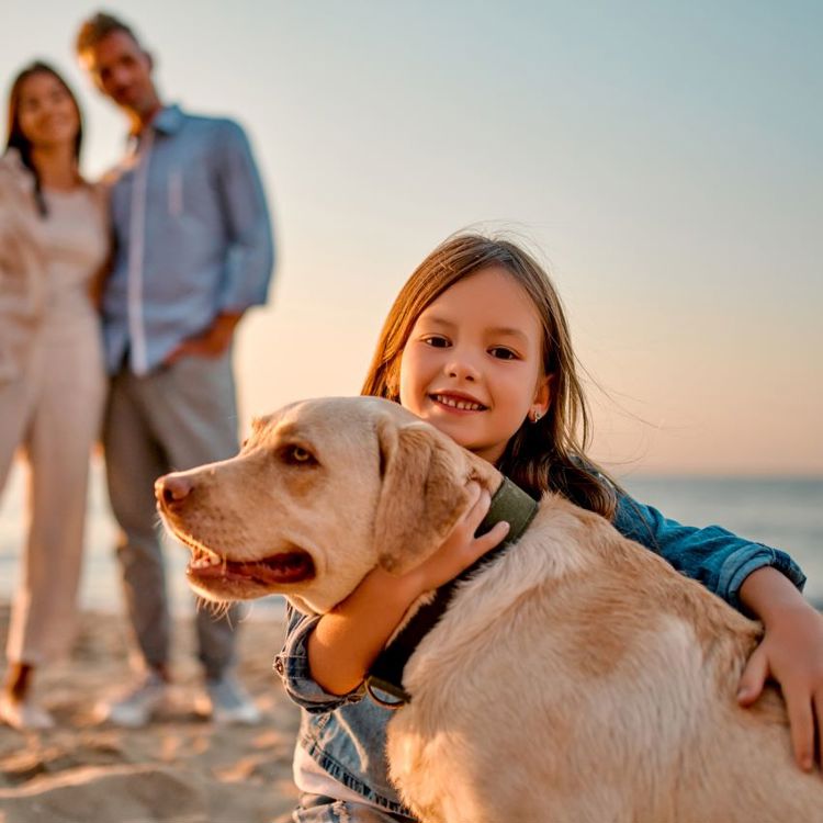 Gezin Met Meisje En Hond