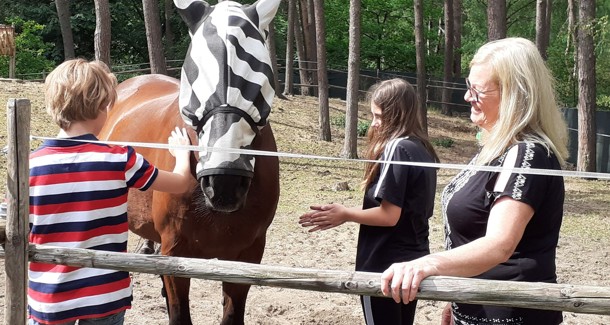 Lilian Van Hout Website (002) (1)